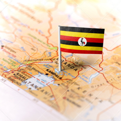 Home wmremove transformed